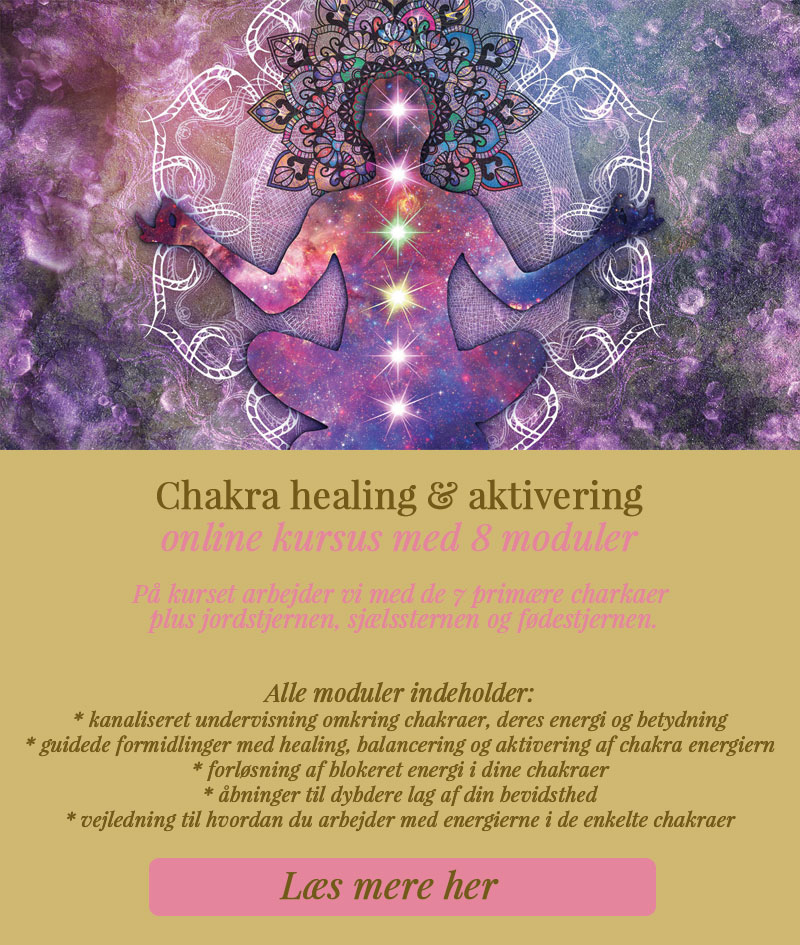 chakra healing & aktivering // online kursus